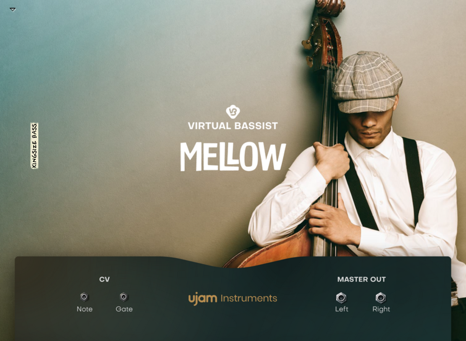 Virtual Bassist Mellow | Virtual Bassist MELLOW | Shop | Reason