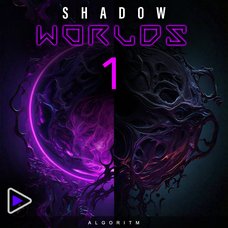 Algorithm Shadow Worlds