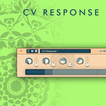 CV Response