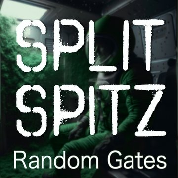 Split Spitz Gate Randomizor