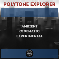 Polytone Explorer