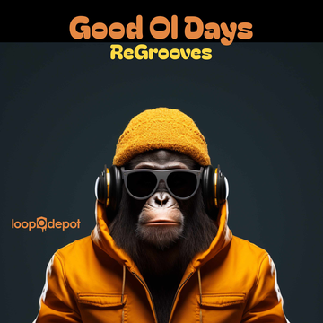 Good Ol Days ReGrooves