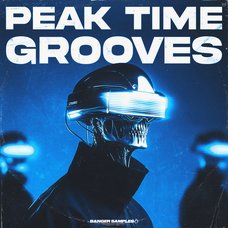 Peak Time Grooves