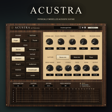 Acustra Acoustic Guitar