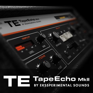 TE TapeEcho Mk2