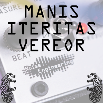 Manis Iteritas Vereor