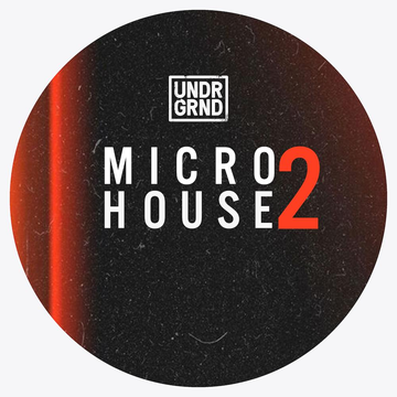 Micro House 2