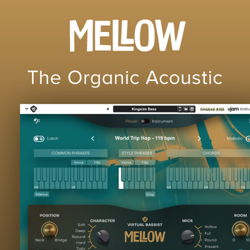 Virtual Bassist Mellow