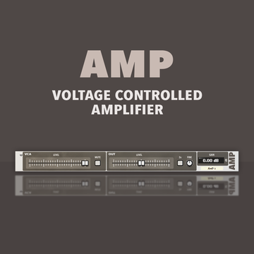 AMP