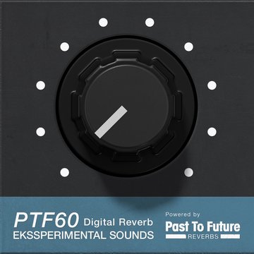 PTF60 Digital Reverb