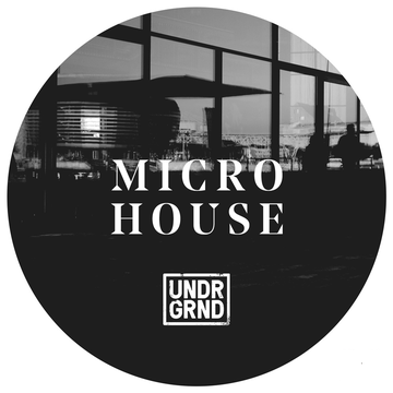 Micro House