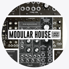 Modular House