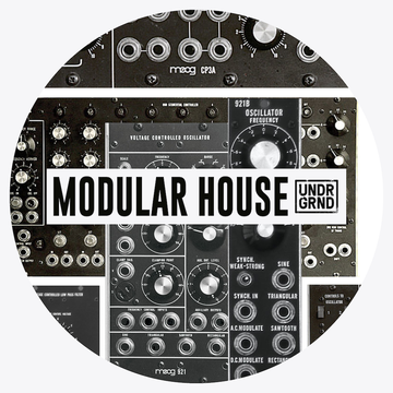 Modular House