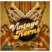 Vintage Horns
