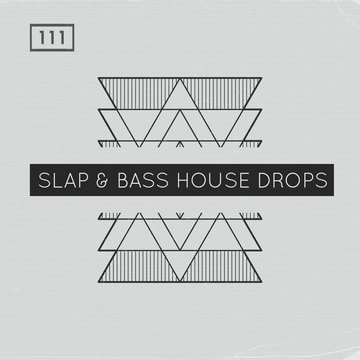 Slap & Bass House Drops