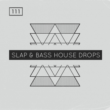 Slap & Bass House Drops