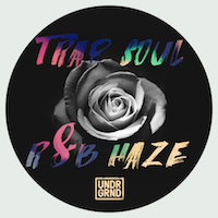 Trap Soul & R&B Haze